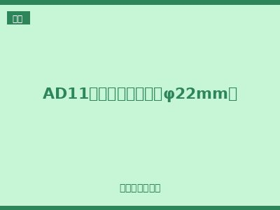 AD11系列放电指示灯（φ22mm）