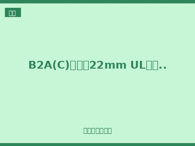 B2A(C)系列（22mm UL认证塑料头部模块化）