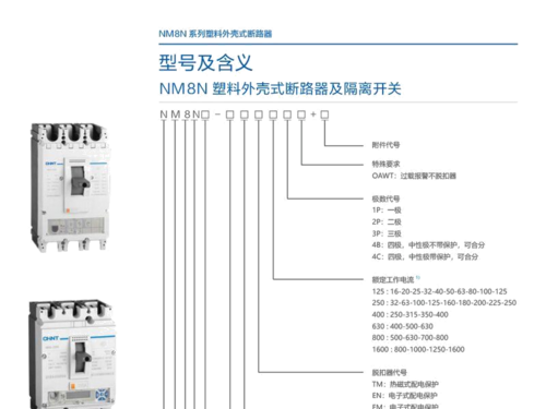 NM8N-100S 3P C100A