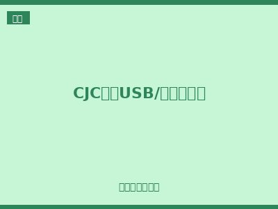 CJC系列USB/点烟器组合