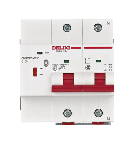 CDBKSRC-100E 2P 100A