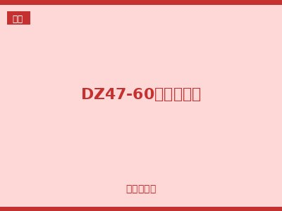 DZ47-60小型断路器