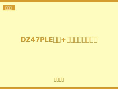 DZ47PLE相线+中性线漏电断路器