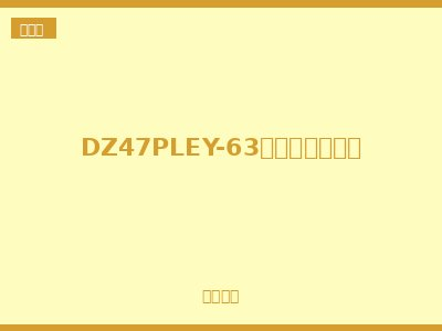 DZ47PLEY-63漏电保护断路器
