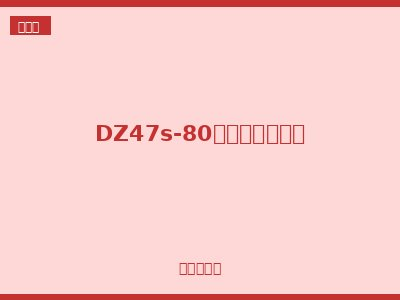 DZ47s-80小型标准断路器