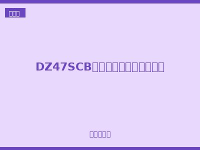 DZ47SCB电涌保护器专用保护装置