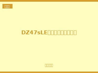DZ47sLE小型漏电保护断路器