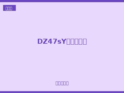 DZ47sY电涌保护器