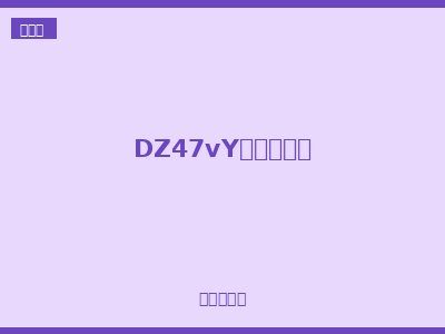 DZ47vY电涌保护器