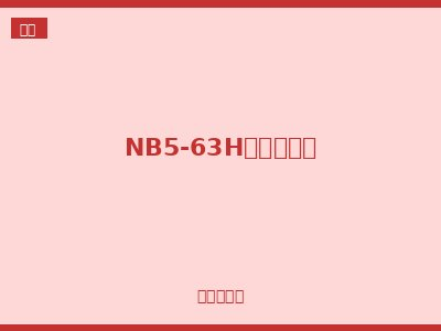 NB5-63H小型断路器