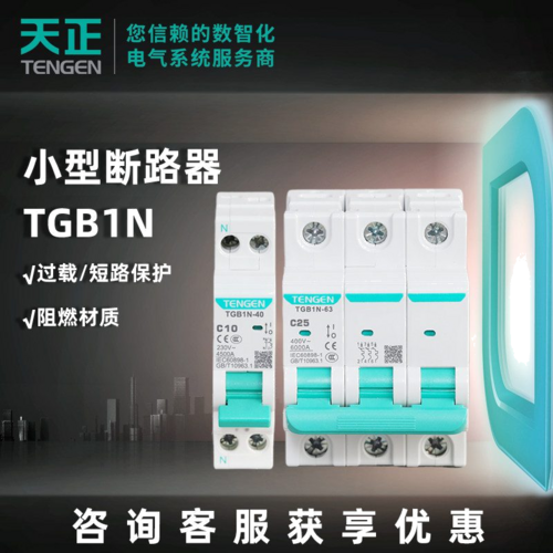TGB1N-63 1P C10A