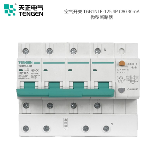 TGB1N-80 1P C80A