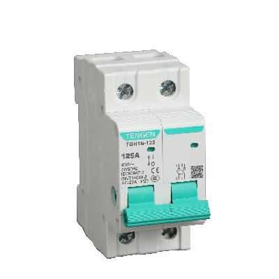 TGH1N-125 2P 125A