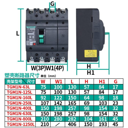 TGM1N-100 3P C100A