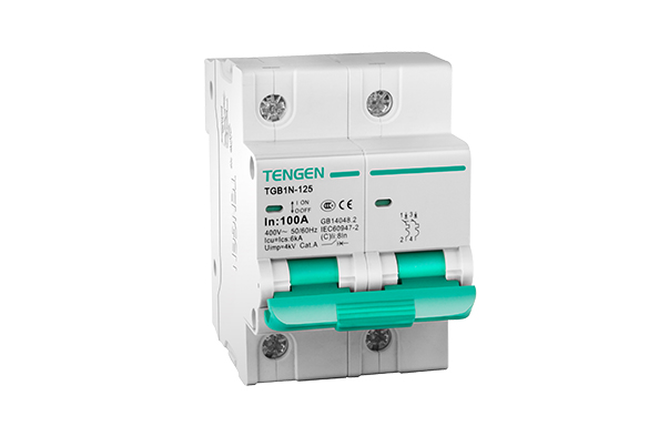 TGB1N-125塑料外壳式断路器