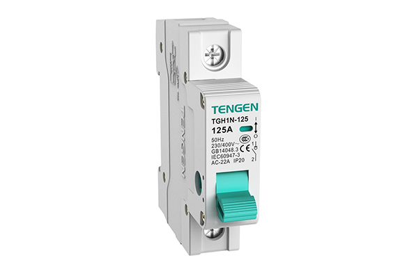 TGH1N-125隔离开关