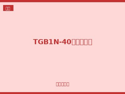 TGB1N-40小型断路器