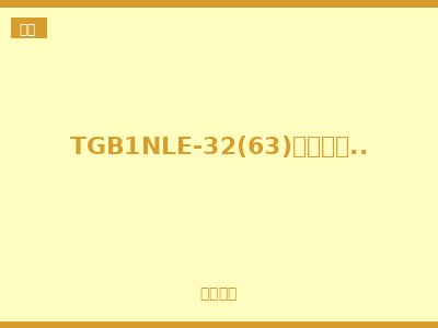 TGB1NLE-32(63)剩余电流动作断路器