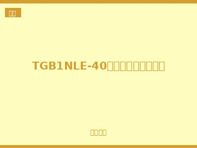 TGB1NLE-40剩余电流动作断路器