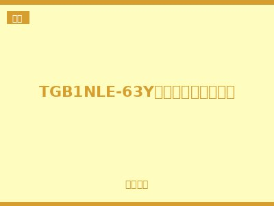 TGB1NLE-63Y剩余电流动作断路器