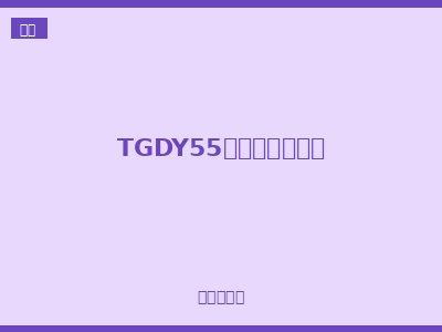 TGDY55系列电涌保护器